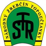 nzt logo