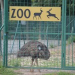 hoffer zoo