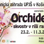 orchidey 2018 plagat