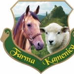 Farma Kamenica