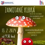 ZAMOTANE KLBKA DE 13.2.24 1