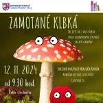 ZAMOTANE KLBKA DE 12.11.24