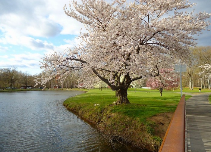 new jersey spring landscape