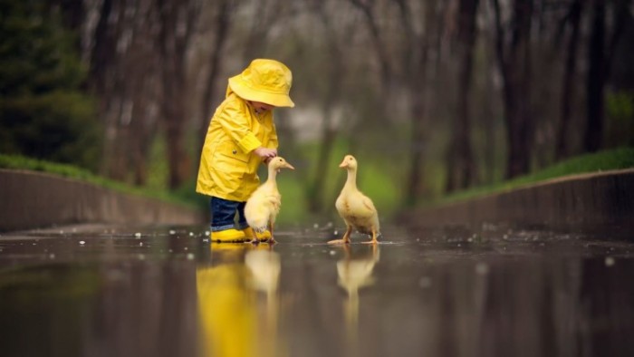 little baby with ducks wallpaper 768x432