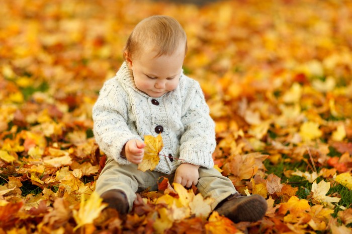 boy sitting in park in fall