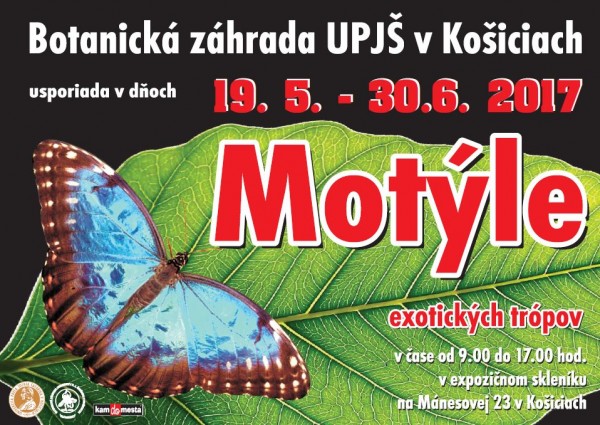 plagat motyle 2017