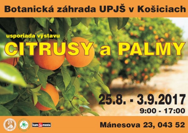 citrusy palmy 2017