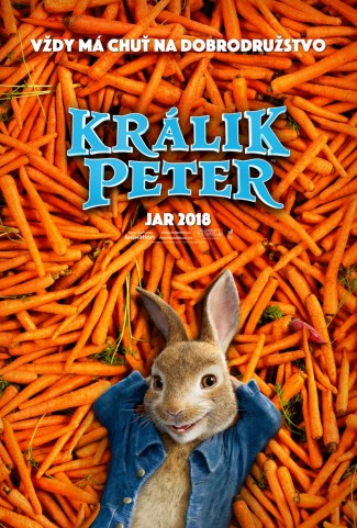 film plakat 2013 1