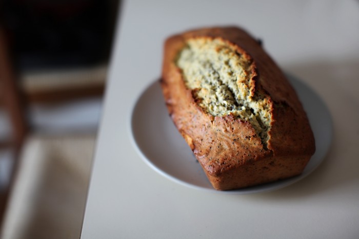 baked blur bread 830894