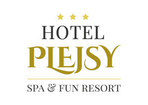 logo plejsy 2016 FINAL