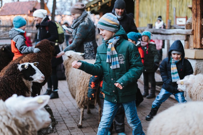 FP Weihnachtszauber SchafecJollySchwarz