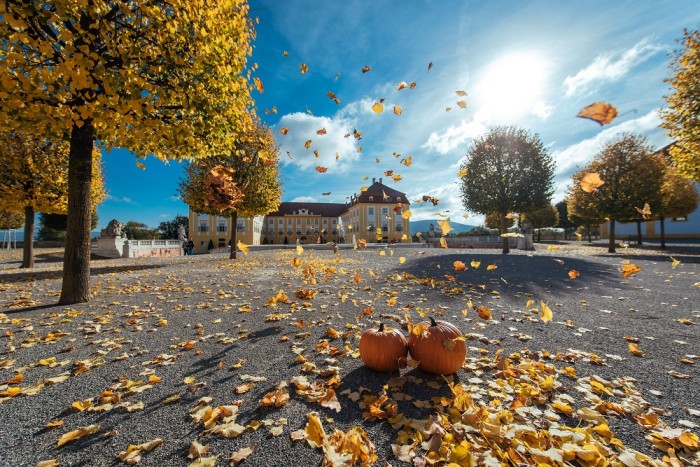 Schloss Hof Herbstfest 007 Schloss Schoenbrunn Kultur und Betriebsges.m.b.H. Michal Cilc print