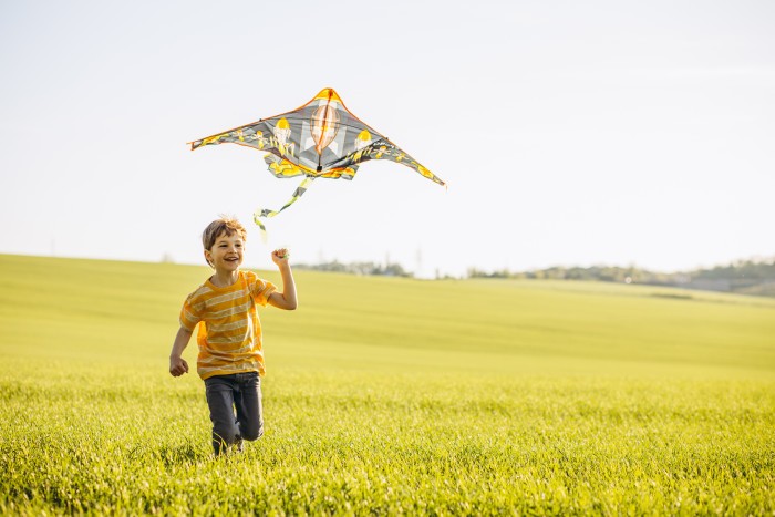 little boy playing with kite green meadow