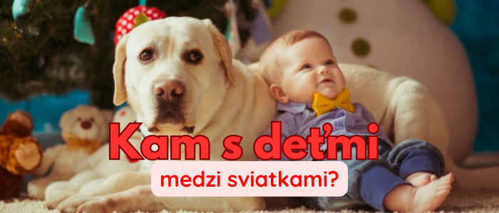 kam medzi sviatkami