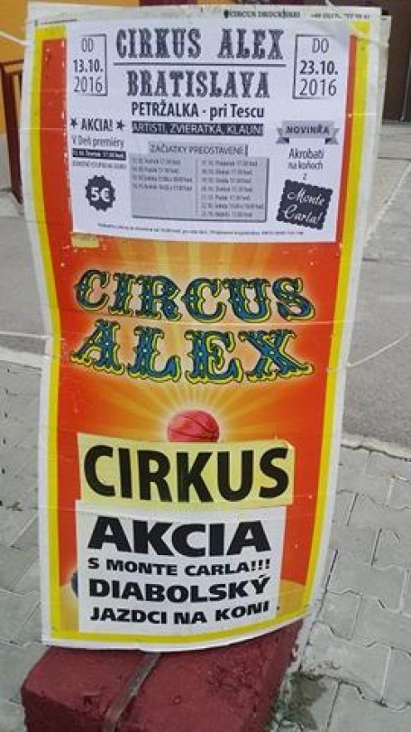 1cirkusalex