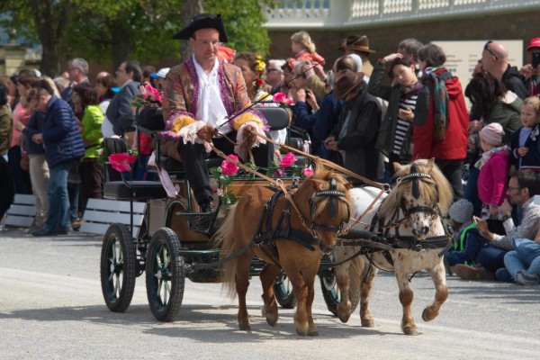 Maibaumfest und Tierumzug SKB Jutta Kirchner 10