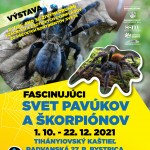 Vystava Fascinujuci svet pavukov a skorpionov