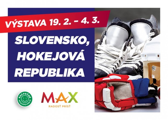 hokej vystava max