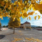 Schloss Hof Herbstfest 011 Schloss Schoenbrunn Kultur und Betriebsges.m.b.H. Michal Cilc print