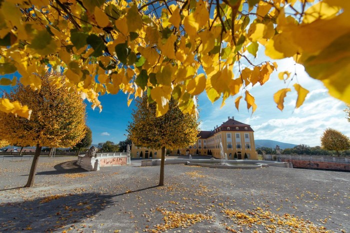 Schloss Hof Herbstfest 011 Schloss Schoenbrunn Kultur und Betriebsges.m.b.H. Michal Cilc print