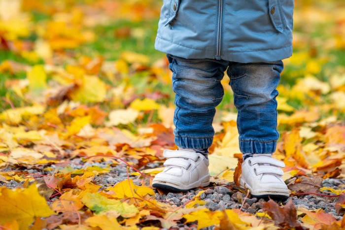 child wearing jeans standing dry autumn leaves