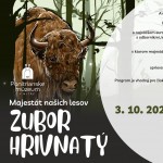 Zubor hrivnaty scaled