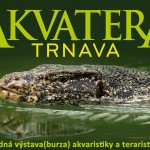 akvatera trnava25