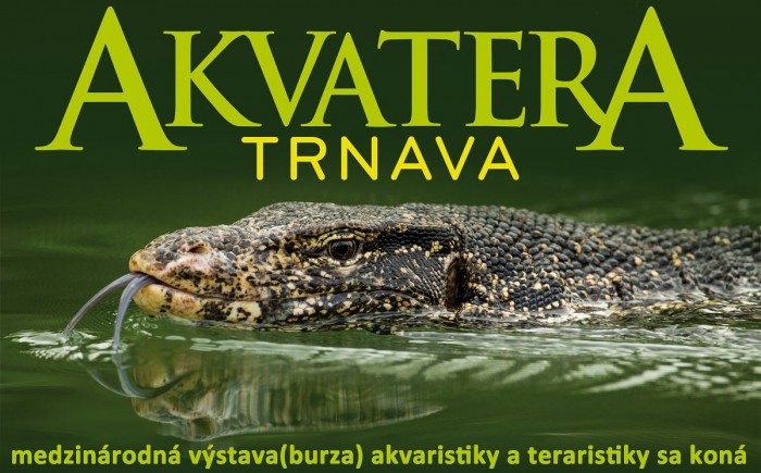 akvatera trnava25