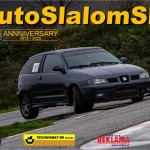 autoslalom show